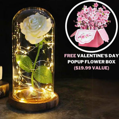 Valentine's Infinity Rose Glow