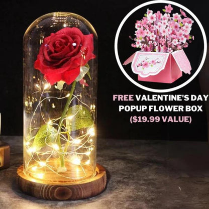 Valentine's Infinity Rose Glow