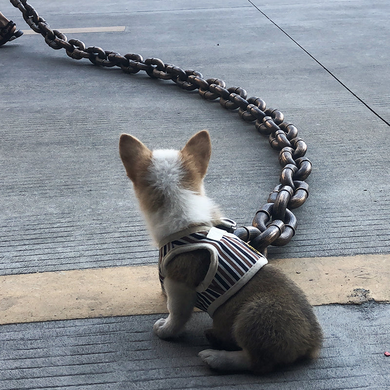 Medieval Dog Chain Leash