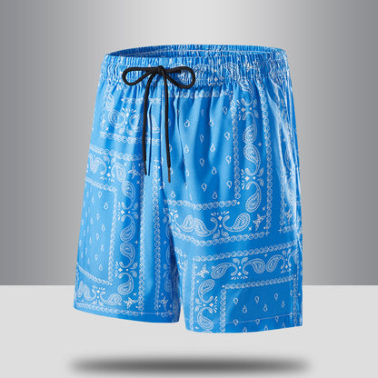 Mykonos Swim Shorts