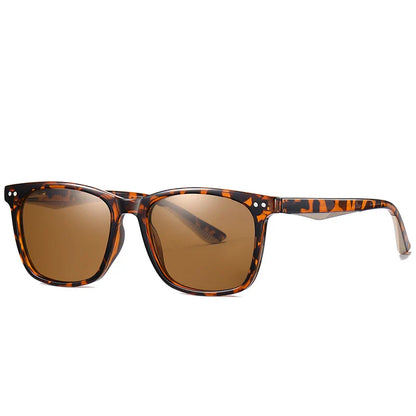 Everett Polarized Sunglasses