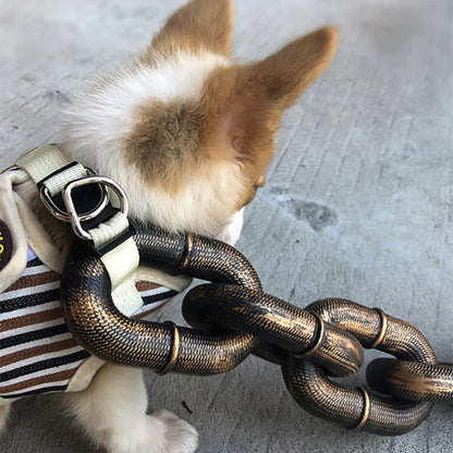 Medieval Dog Chain Leash